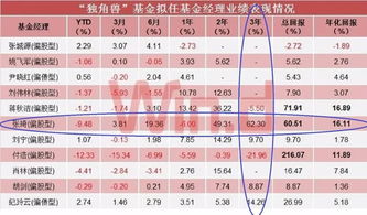 基金公司管理战略配售基金应具备的实力与投资管理策略